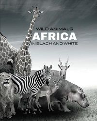 Cover image for WILD ANIMALS - Africa in Black and White