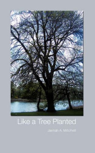 Cover image for Like a Tree Planted