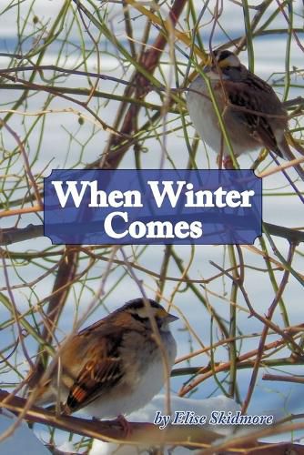 Cover image for When Winter Comes