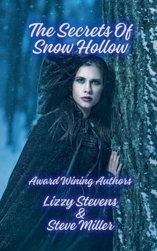 Cover image for The Secrets Of Snow Hollow