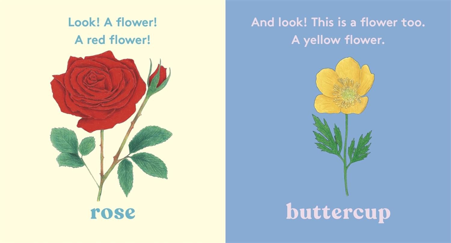 Look! A Flower!