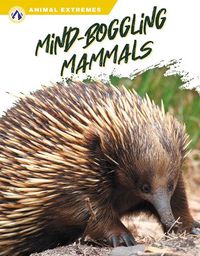 Cover image for Mind-Boggling Mammals