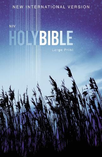 Cover image for NIV, Outreach Bible, Large Print, Paperback