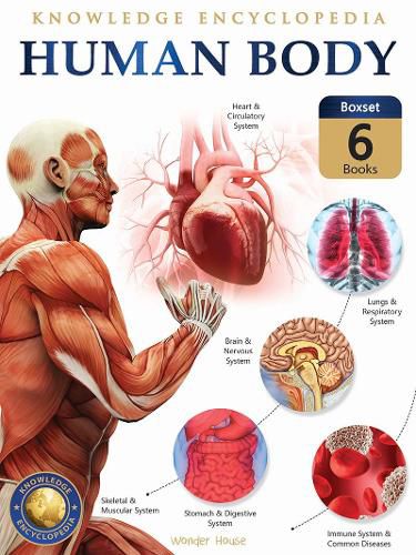 Cover image for Human Body