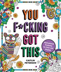 Cover image for You F*cking Got This: Motivational Profanity to Color & Display