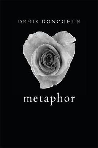 Cover image for Metaphor