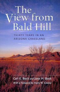Cover image for The View from Bald Hill: Thirty Years in an Arizona Grassland