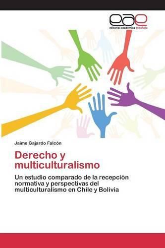 Cover image for Derecho y multiculturalismo