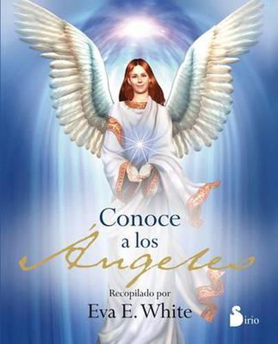 Cover image for Conoce a Los Angeles