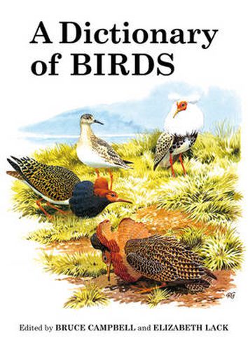 Cover image for A Dictionary of Birds