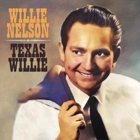 Cover image for Texas Willie