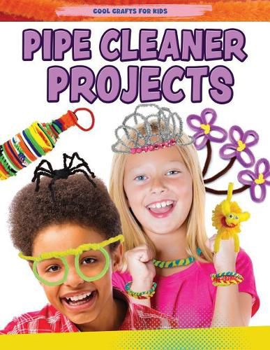 Pipe Cleaner Projects