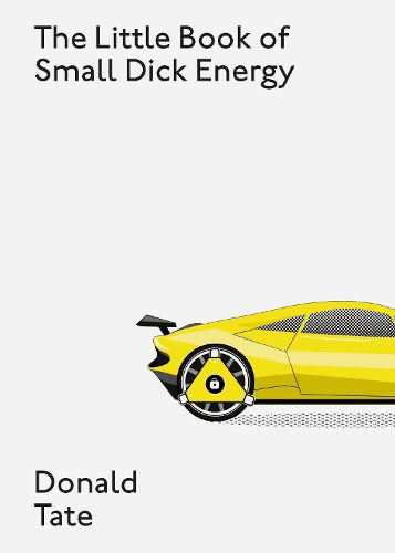 Cover image for The Little Book of Small Dick Energy