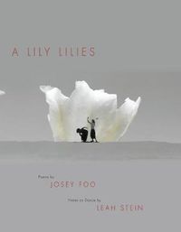 Cover image for A Lily Lilies