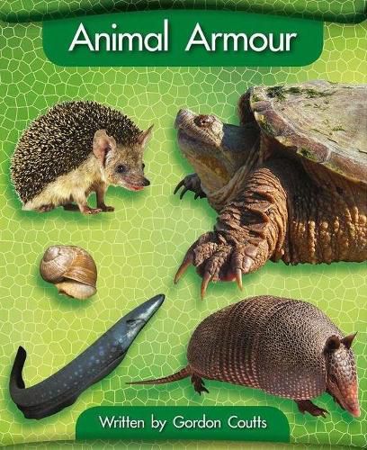 Cover image for Animal Armour