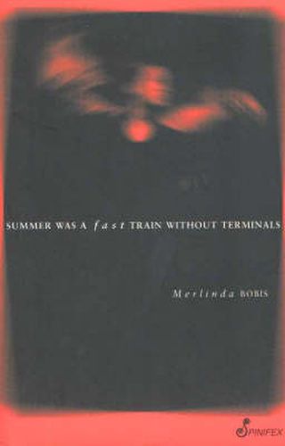 Summer Was a Fast Train Without Terminals
