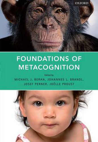 Cover image for Foundations of Metacognition