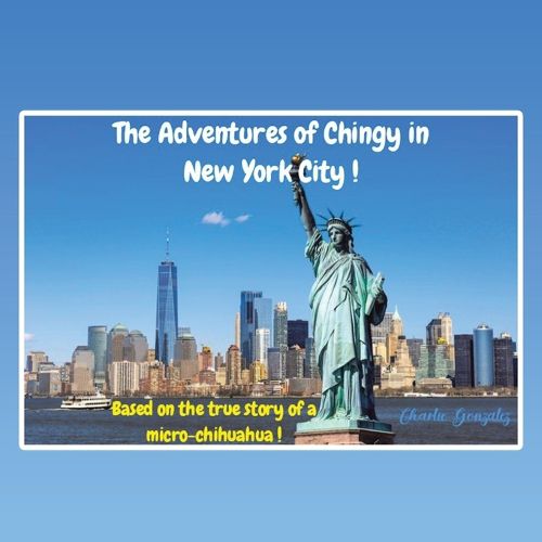 Cover image for The Adventures of Chingy in New York City!