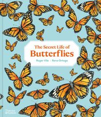 Cover image for The Secret Life of Butterflies