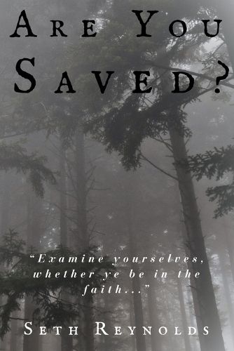 Cover image for Are You Saved?