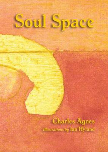 Cover image for Soul Space