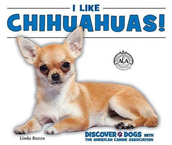 I Like Chihuahuas!