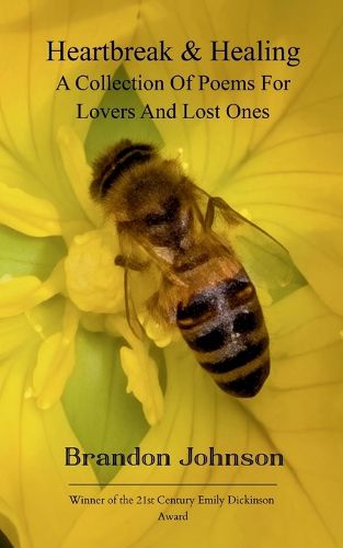 Cover image for Heartbreak & Healing