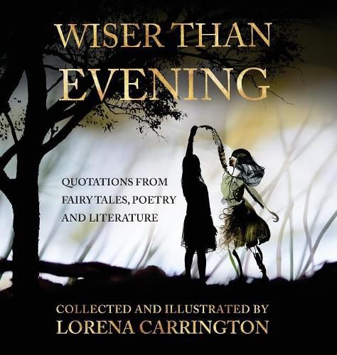 Cover image for Wiser Than Evening