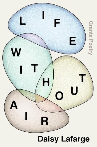 Cover image for Life Without Air