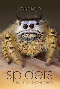 Cover image for Spiders: Learning to love them