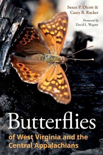Cover image for Butterflies of West Virginia and the Central Appalachians
