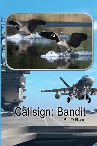 Cover image for Callsign: Bandit