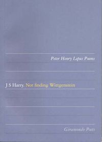 Cover image for Not Finding Wittgenstein