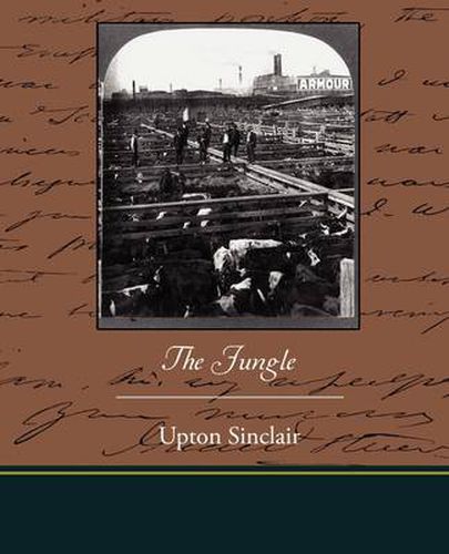 Cover image for The Jungle