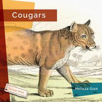 Cover image for Cougars