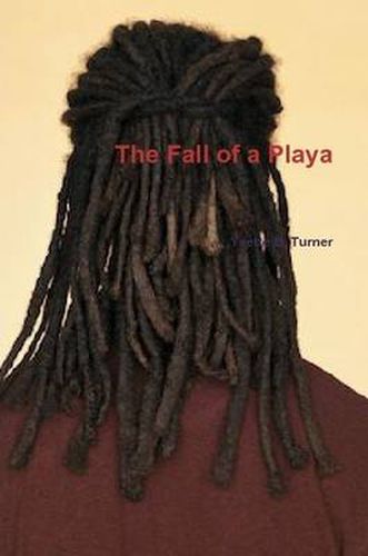 The Fall of a Playa