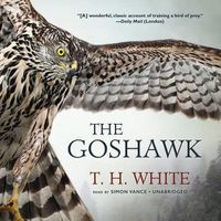 Cover image for The Goshawk