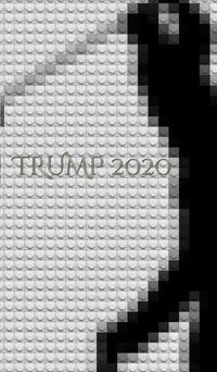 Cover image for Trump 2020 Golf creative Journal Notebook