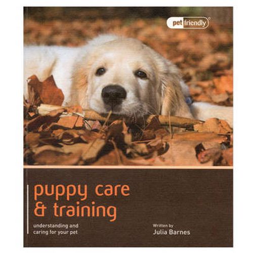 Cover image for Puppy Training & Care - Pet Friendly