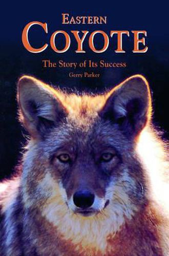 Cover image for Eastern Coyote