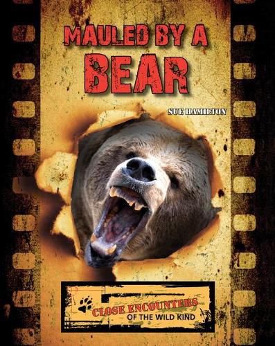 Cover image for Mauled by a Bear