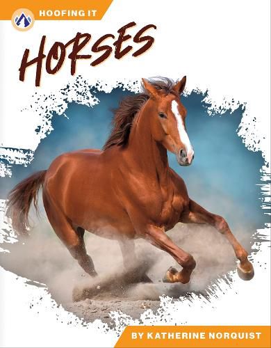 Cover image for Horses