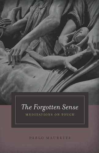 Cover image for The Forgotten Sense: Meditations on Touch