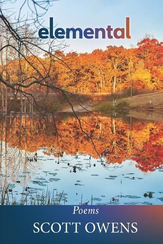 Cover image for Elemental