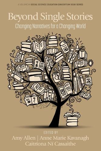 Cover image for Beyond Single Stories