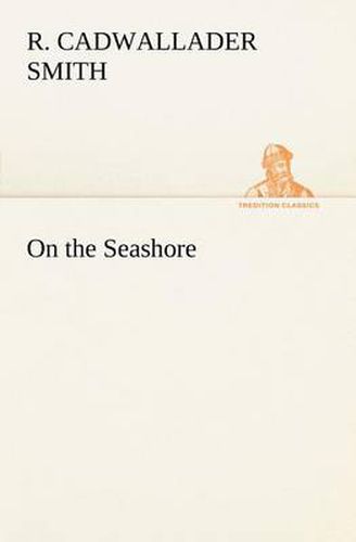 Cover image for On the Seashore