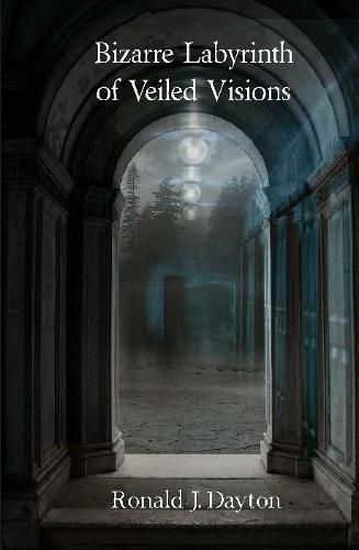 Cover image for Bizarre Labyrinth of Veiled Visions