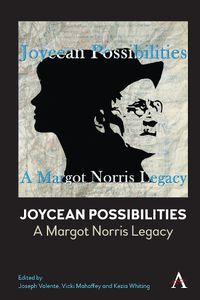 Cover image for Joycean Possibilities: A Margot Norris Legacy