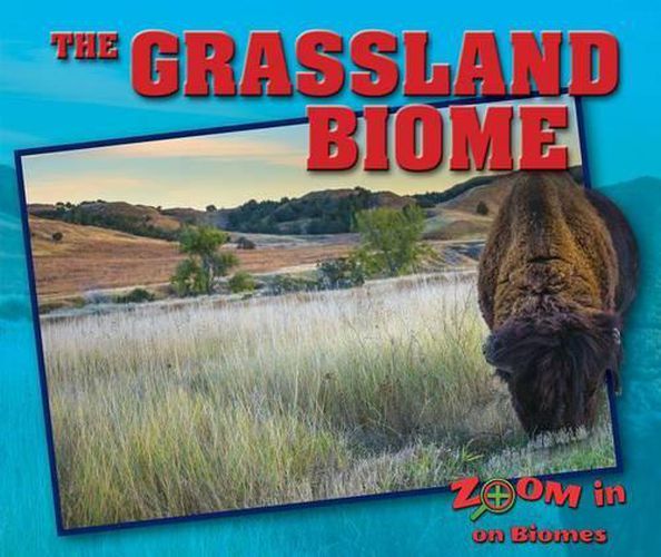 Cover image for The Grassland Biome