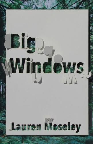 Cover image for Big Windows